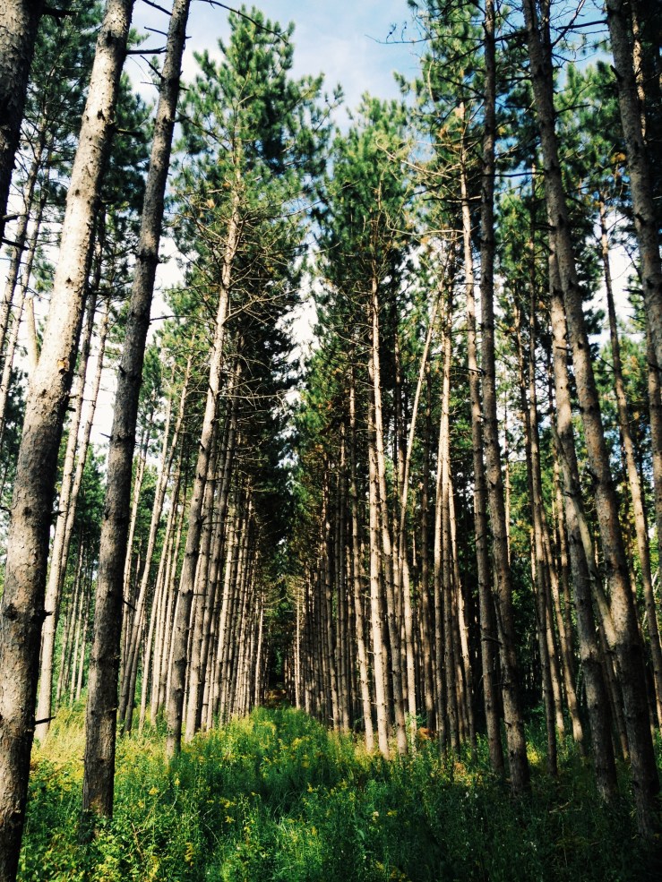 Processed with VSCOcam with g3 preset