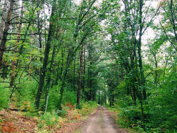 Processed with VSCOcam with c1 preset