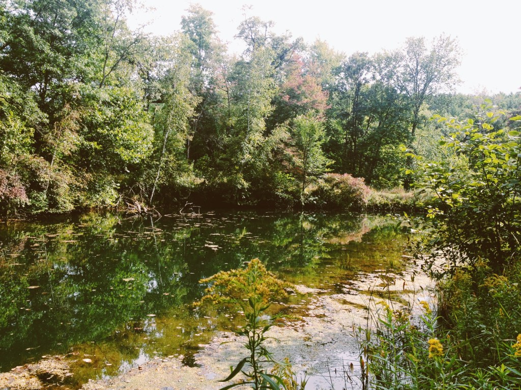 Processed with VSCOcam with c1 preset