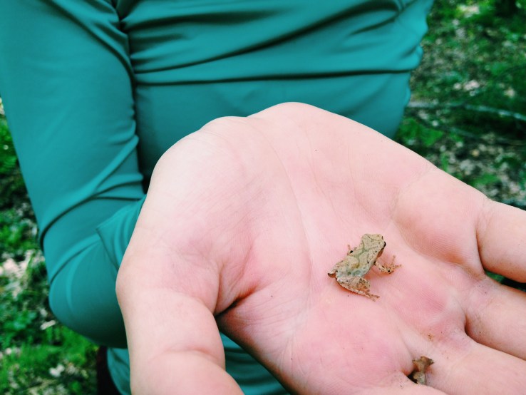 Processed with VSCOcam with c1 preset