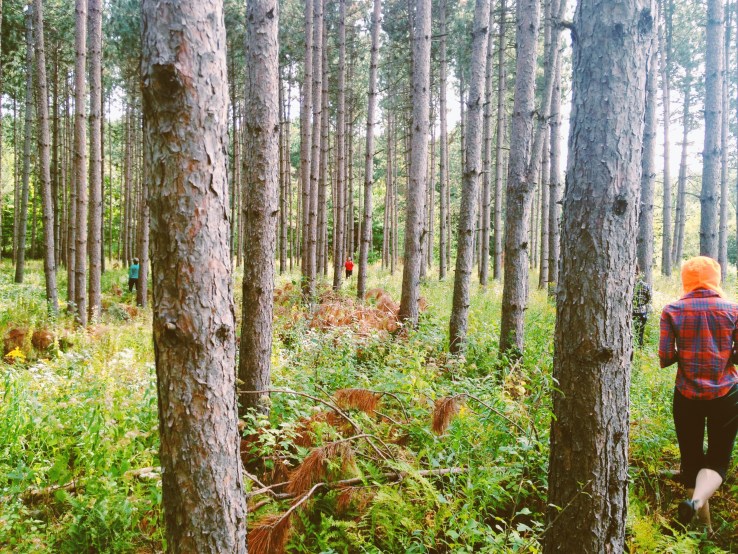 Processed with VSCOcam with c1 preset