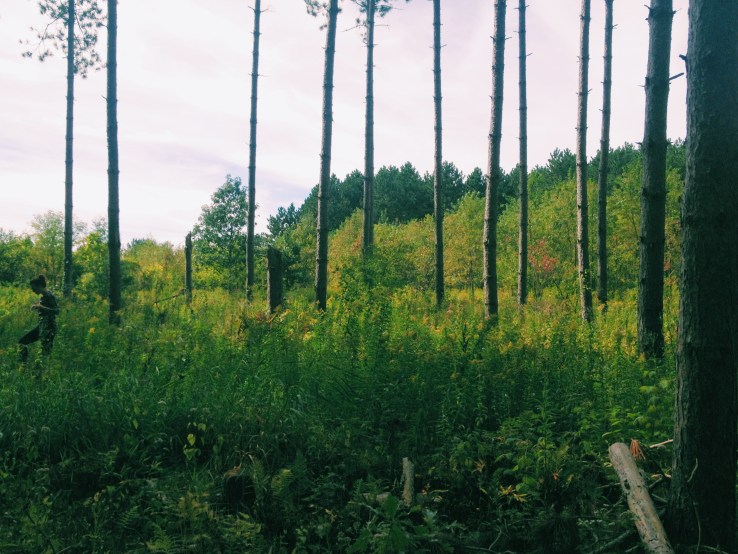 Processed with VSCOcam with c1 preset