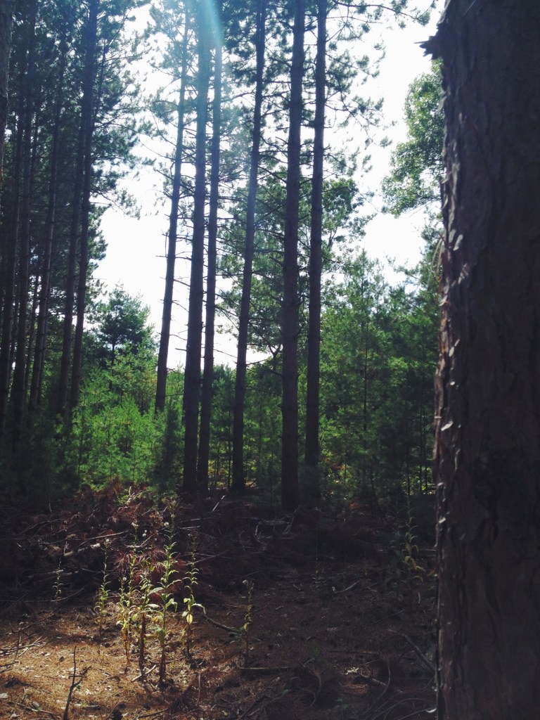 Processed with VSCOcam with f2 preset