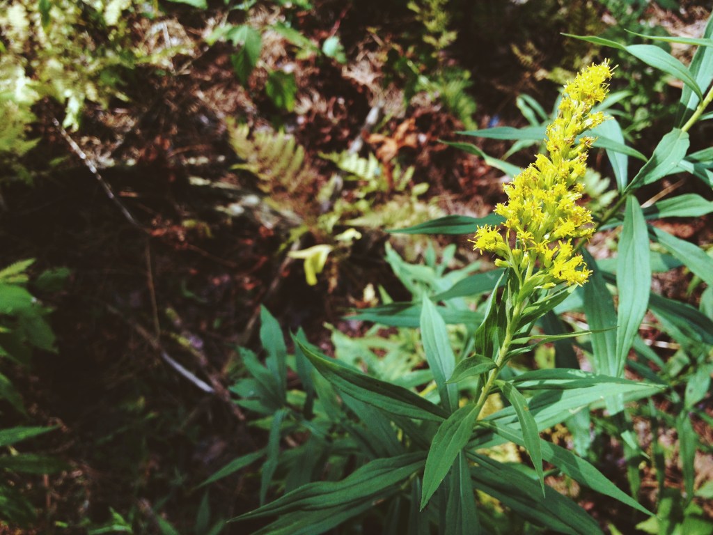 Processed with VSCOcam with m3 preset