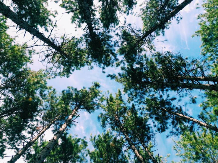 Processed with VSCOcam with c1 preset