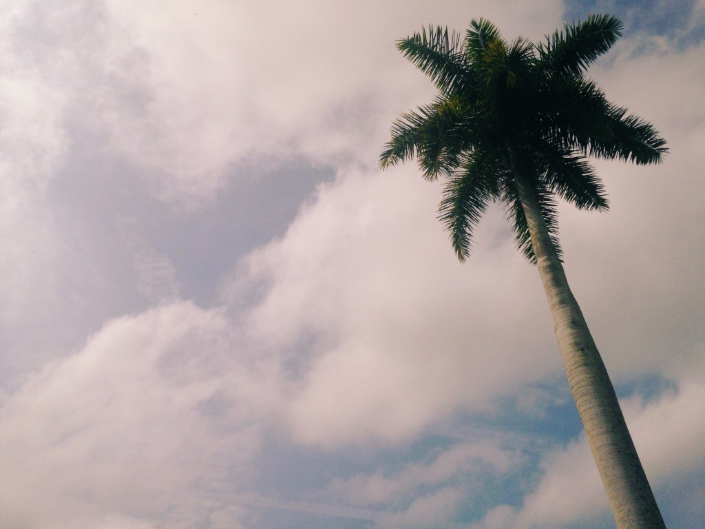 The recipient of my love