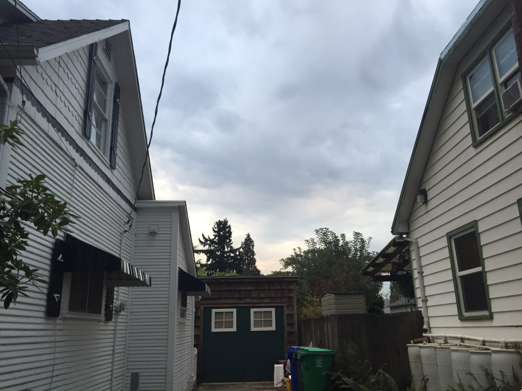 That little green guy was for us