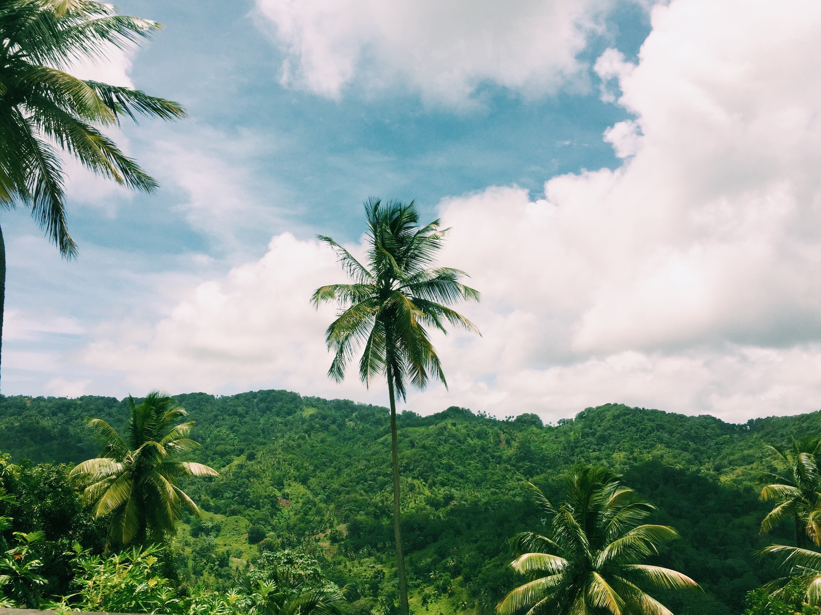 Processed with VSCO with c1 preset