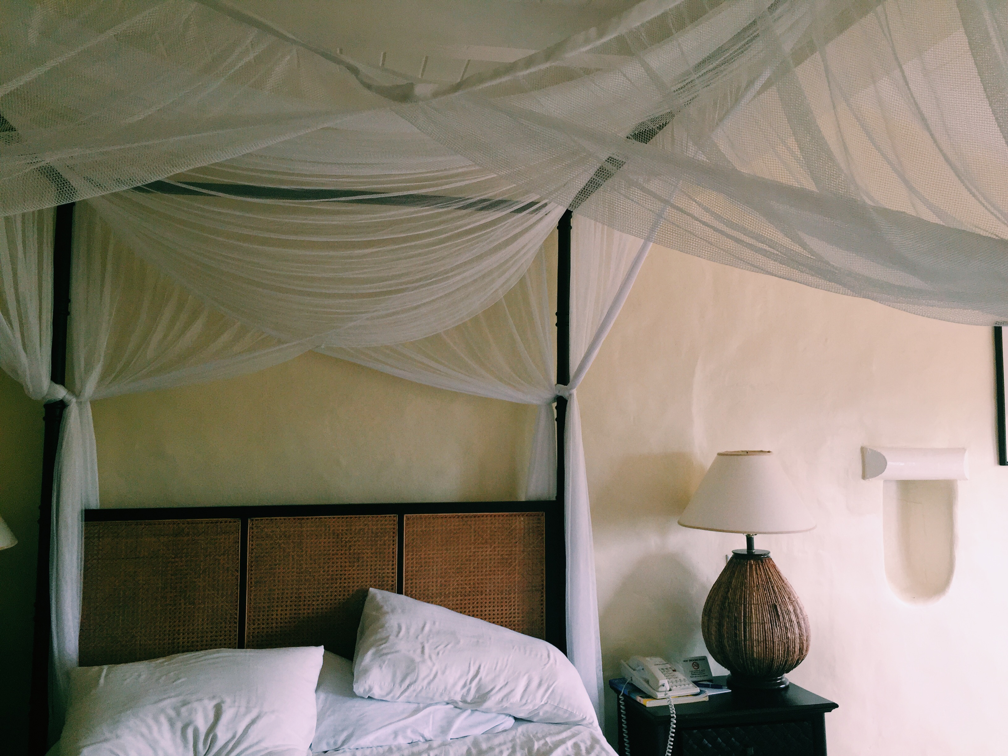 Processed with VSCO with c1 preset