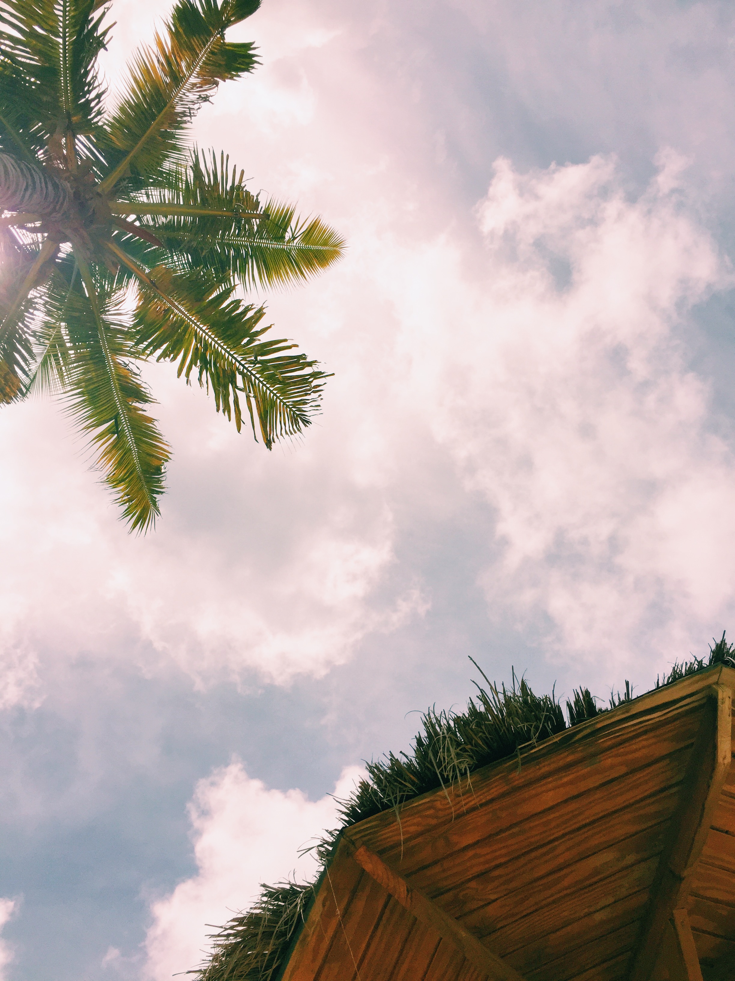 Processed with VSCO with c1 preset