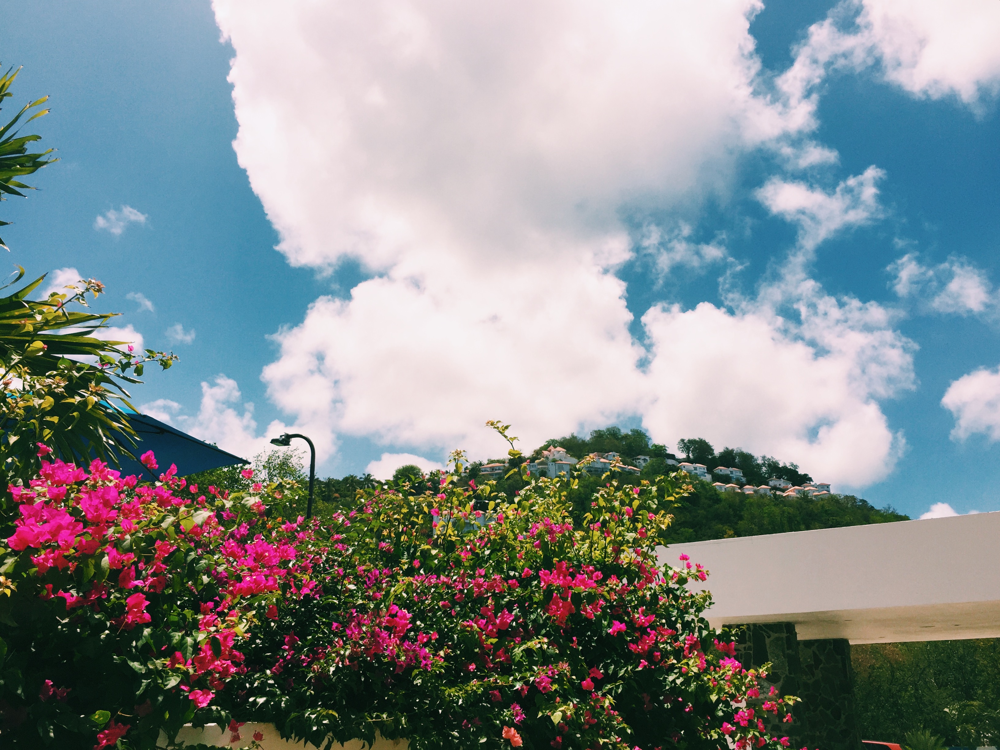 Processed with VSCO with c1 preset