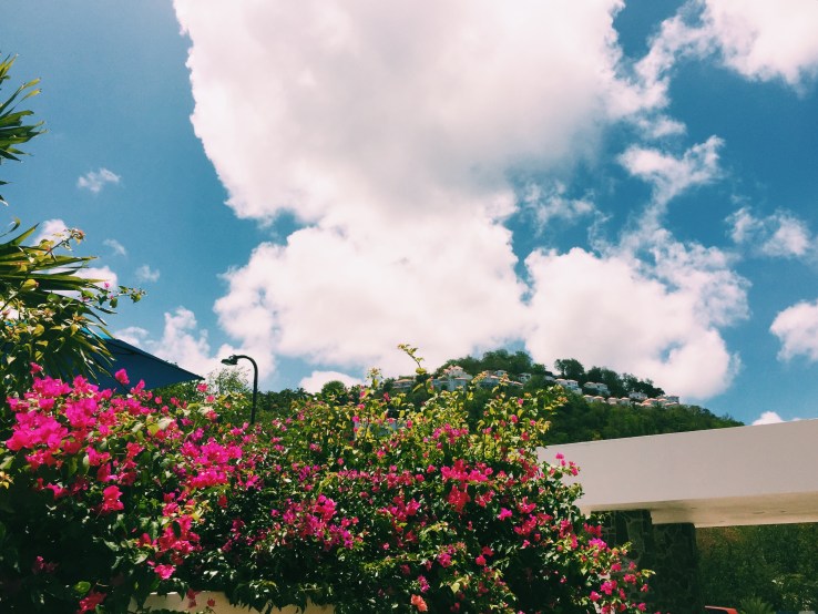 Processed with VSCO with c1 preset