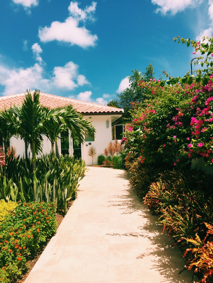 Processed with VSCO with c1 preset