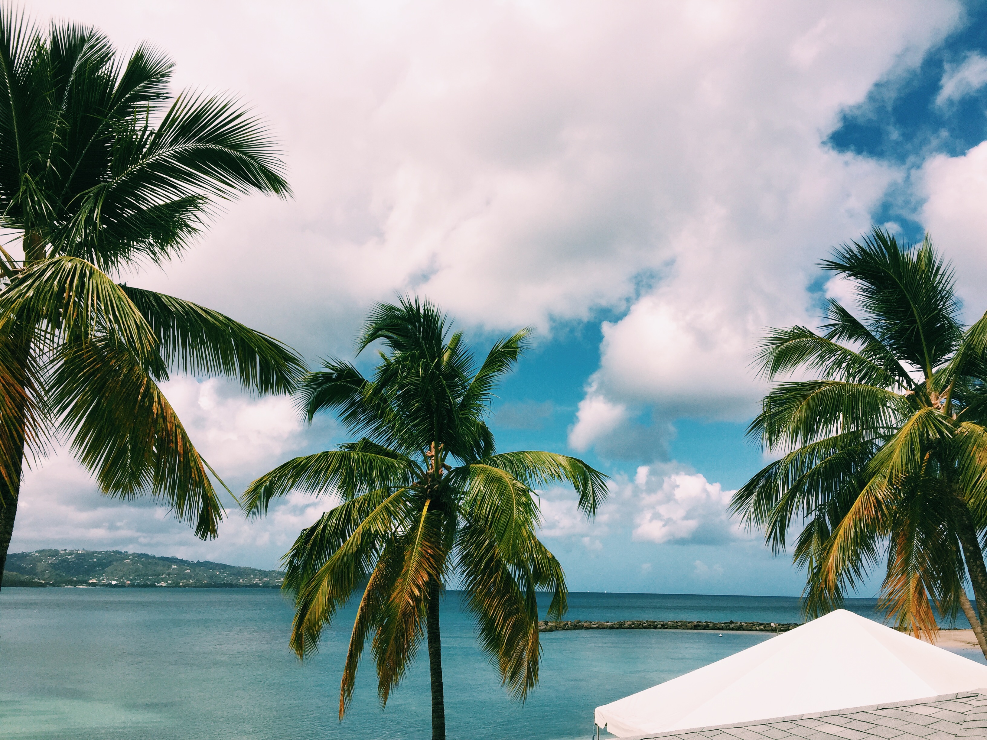 Processed with VSCO with c1 preset