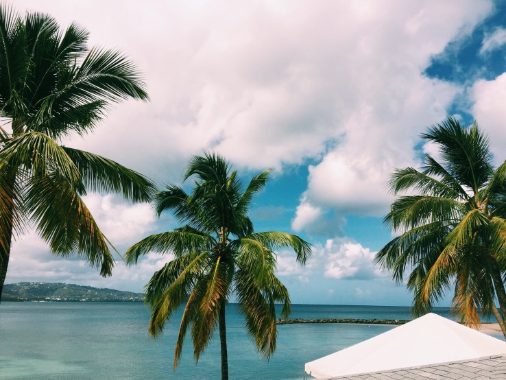 Processed with VSCO with c1 preset