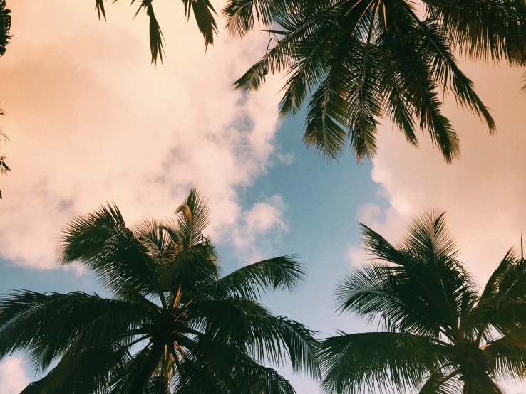 Processed with VSCO with c1 preset