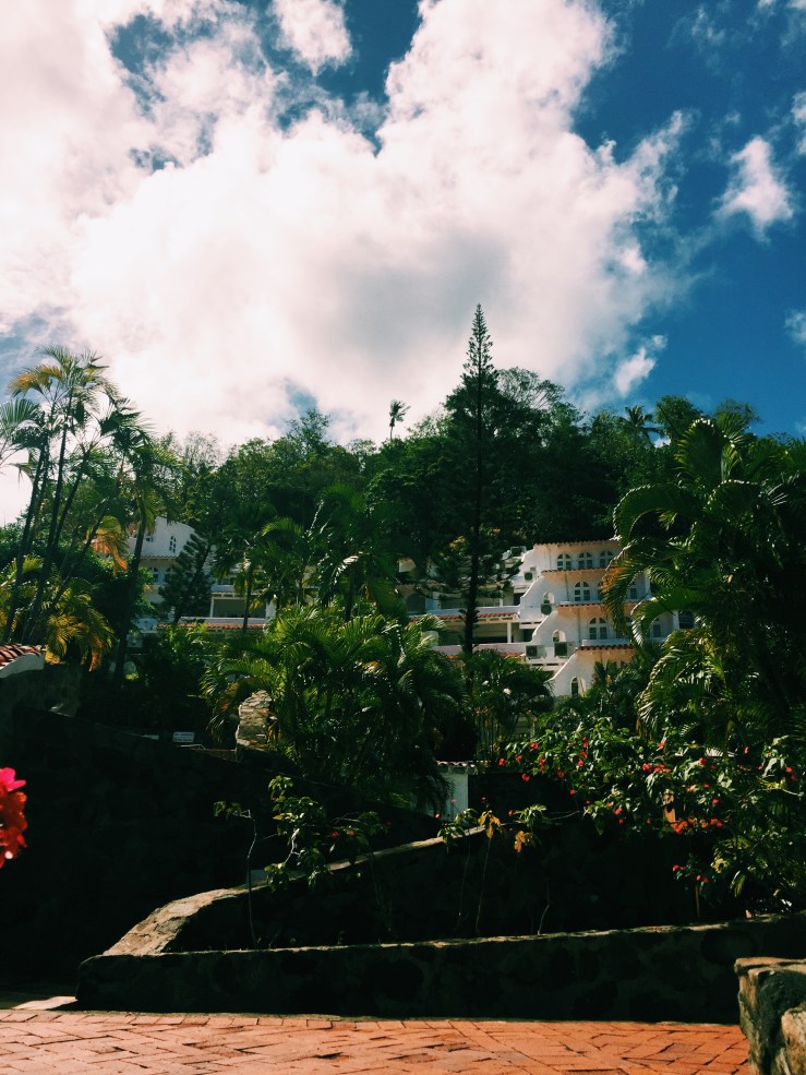 Processed with VSCO with c1 preset