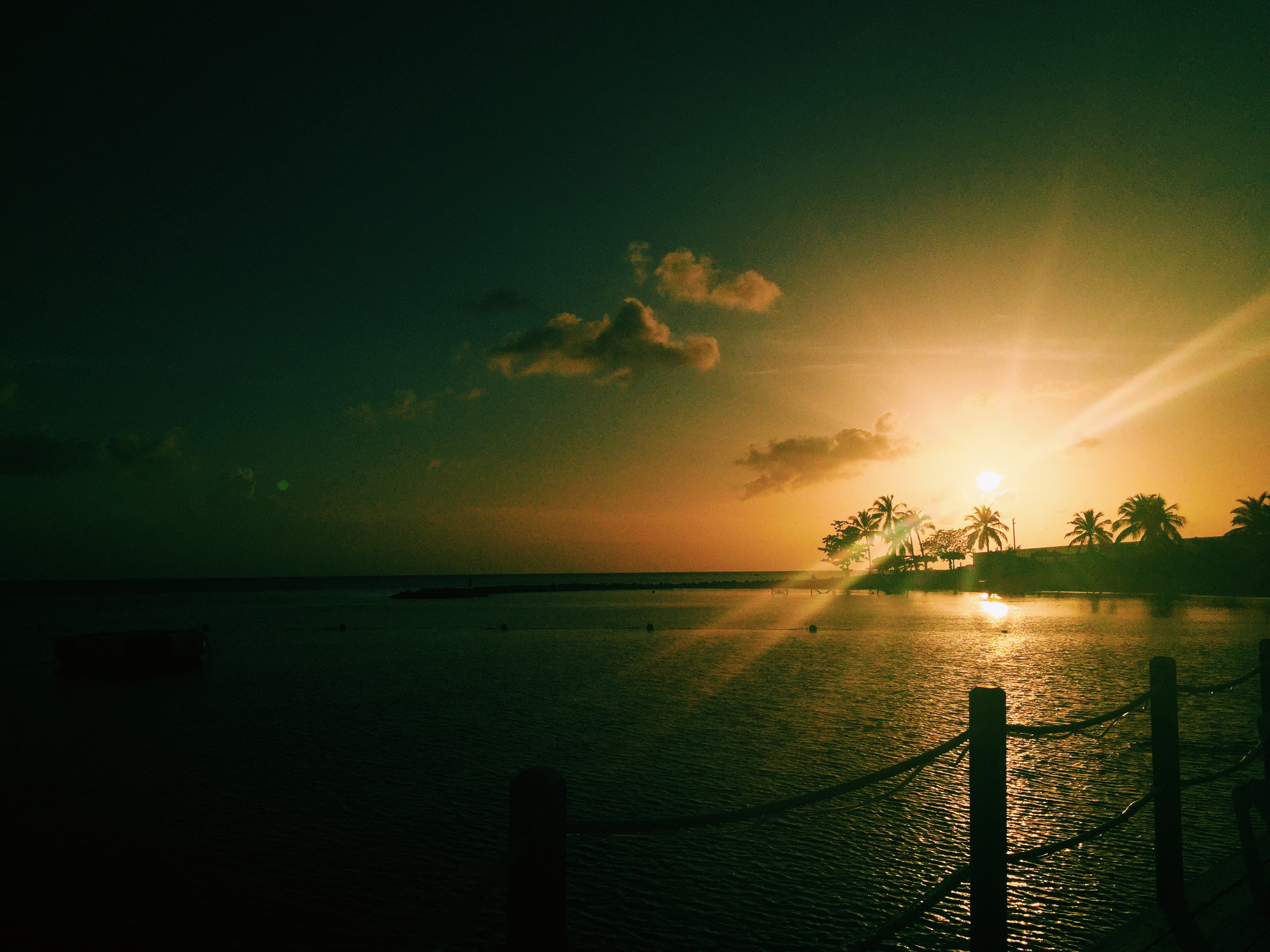 Processed with VSCO with c1 preset