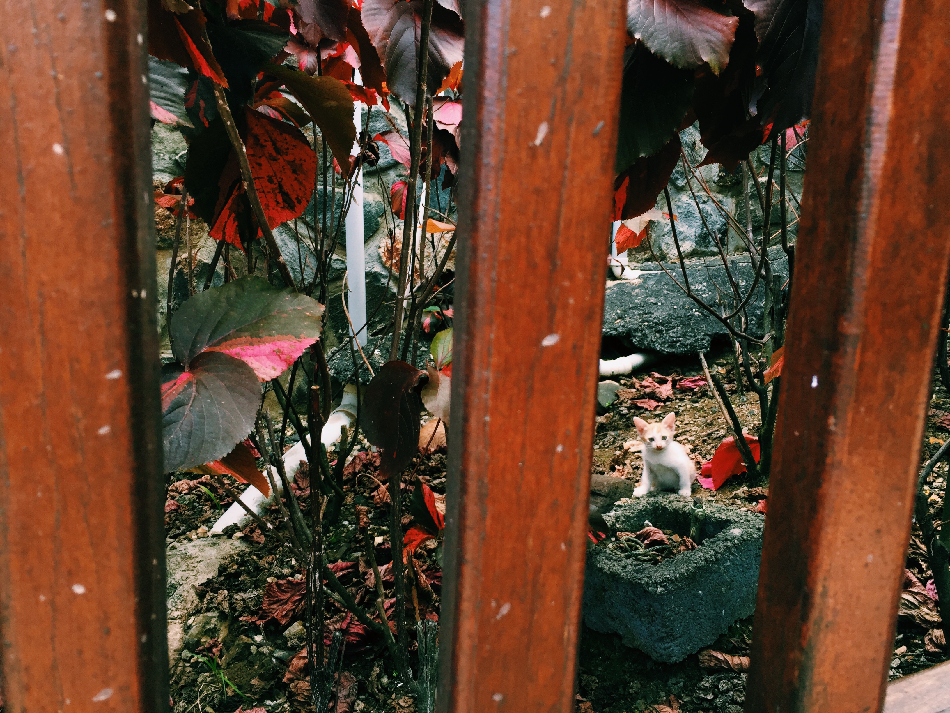 Processed with VSCO with c1 preset