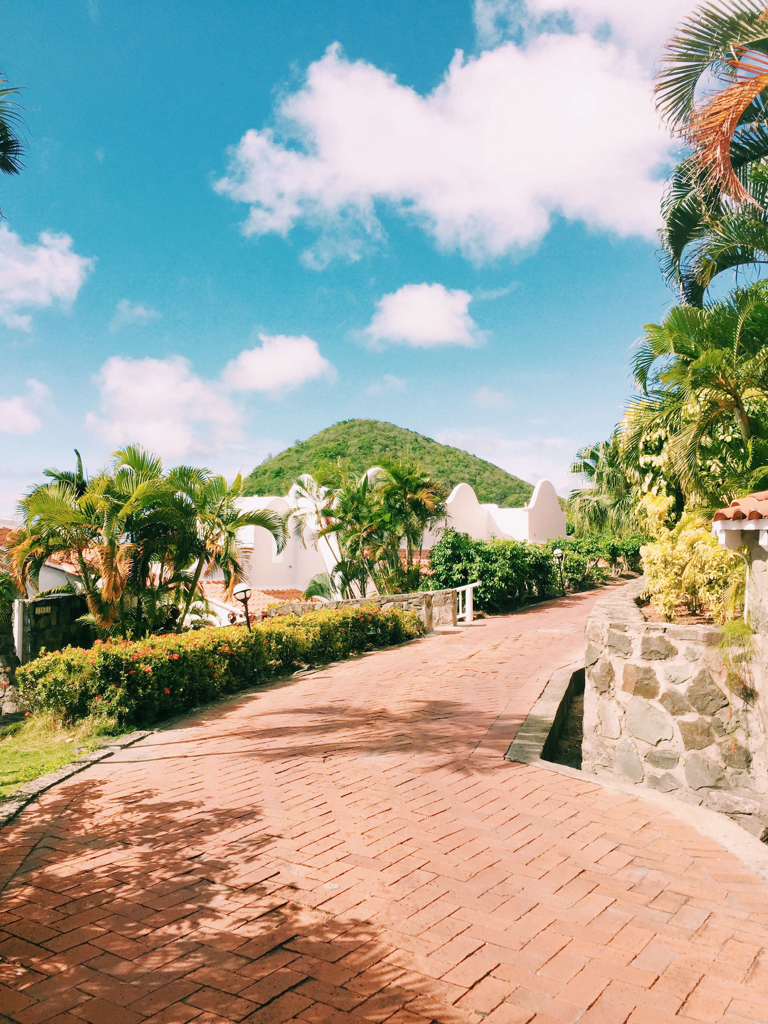 Processed with VSCO with c1 preset