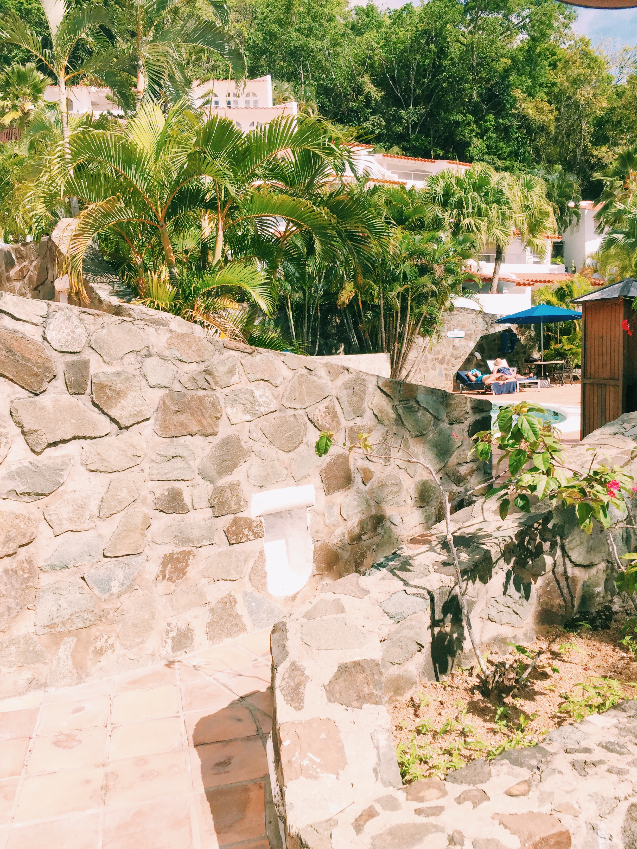 Processed with VSCO with c1 preset