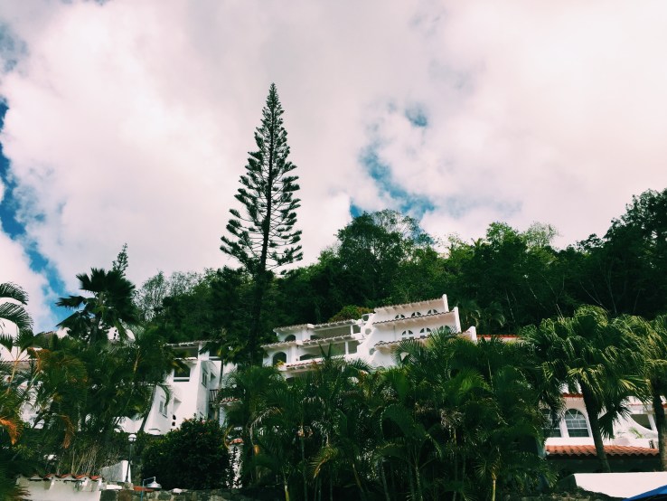 Processed with VSCO with c1 preset