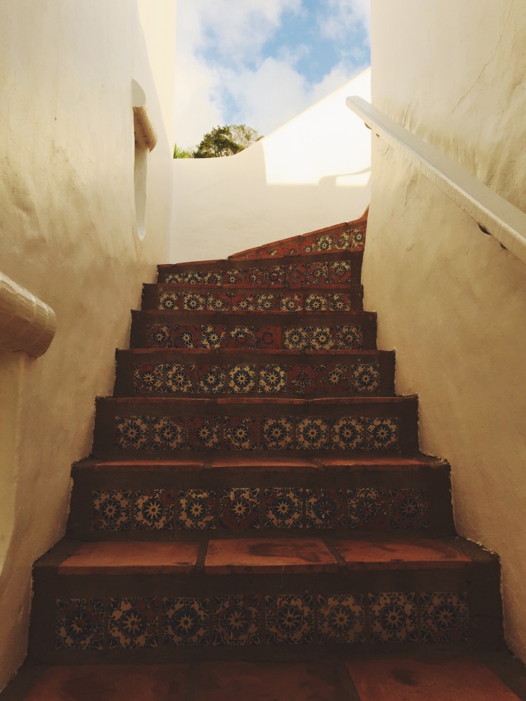 Processed with VSCO with f3 preset